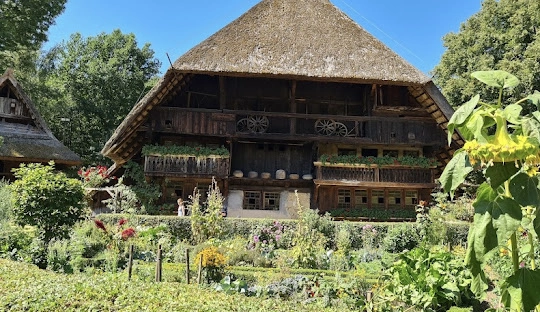 Black Forest2_result