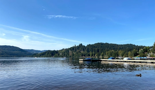 Black Forest!_result